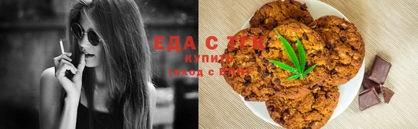 гашик Мегион