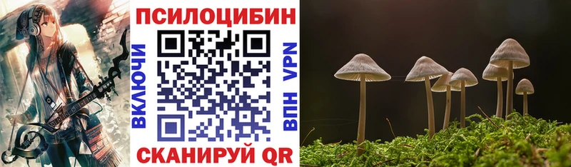 наркота Азов darknet какой сайт Галлюциногенные грибы Psilocybine cubensis